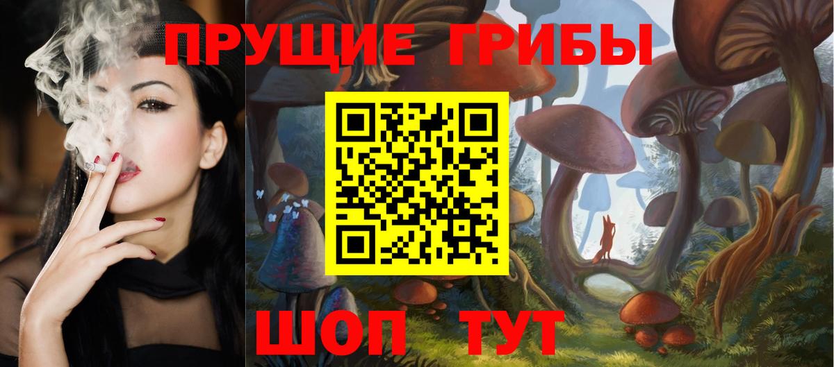 Сальск  Псилоцибиновые грибы GOLDEN TEACHER  Вход с VPN 